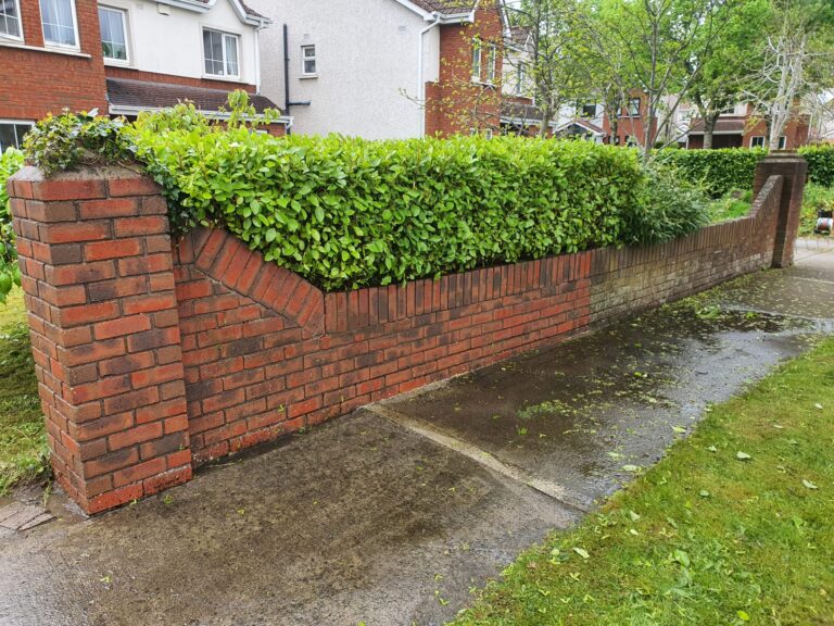 gardening and landscaping