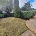 garden cleaning service