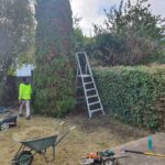 garden maintenance near me