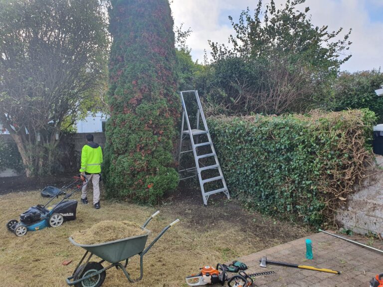 garden maintenance near me
